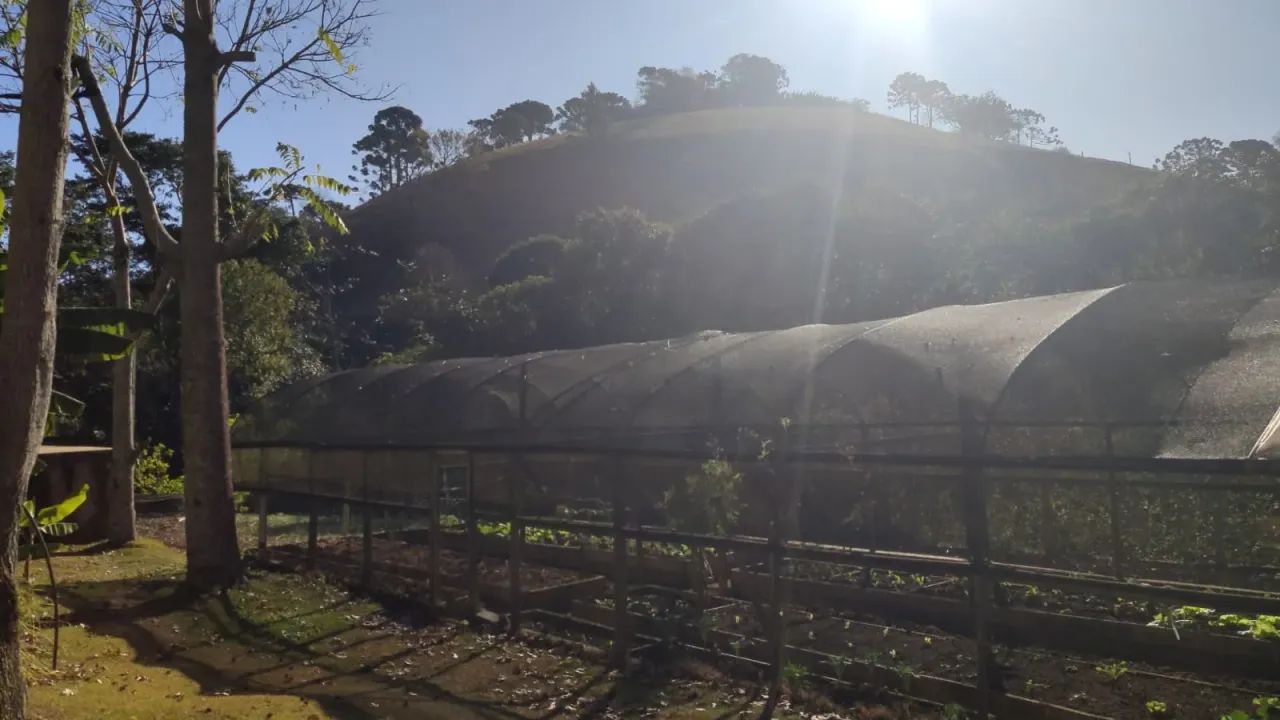 Sítio com 10.500m² em São Bento do Sapucaí - SP - Foto 2