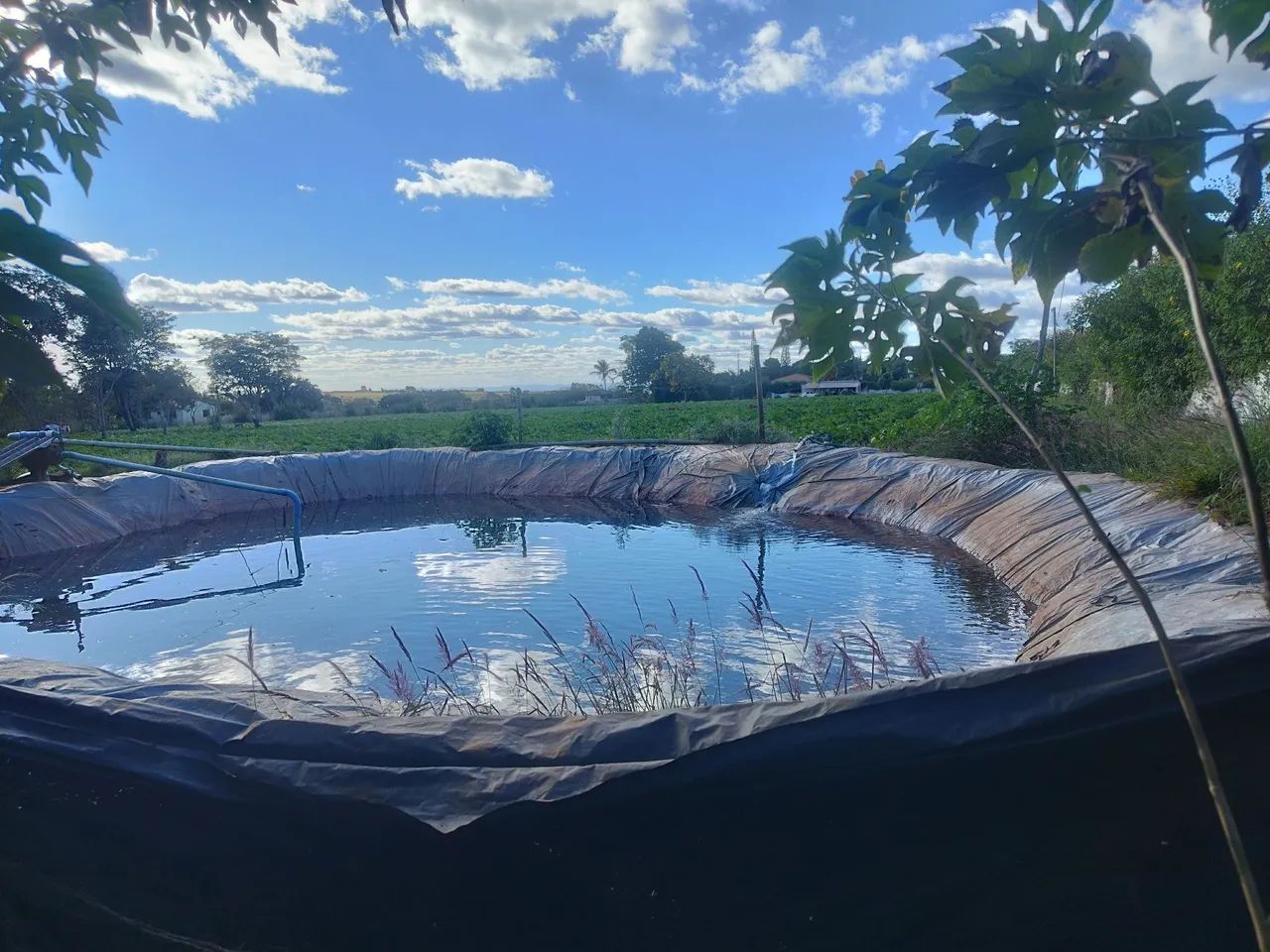 Lago oeste  - Foto 2