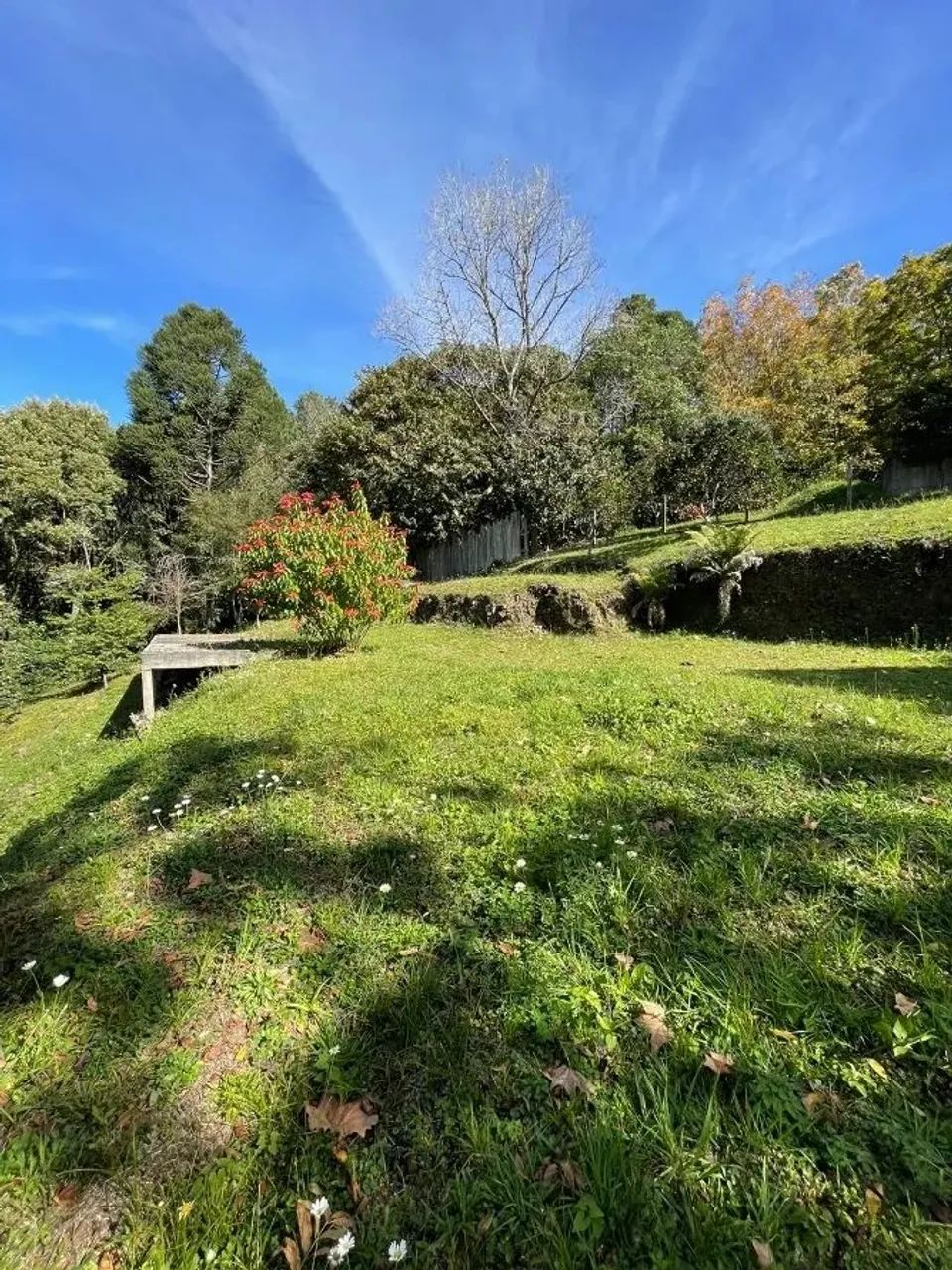 CAXIAS DO SUL - Terreno Padrão - LINHA 40 - Foto 11