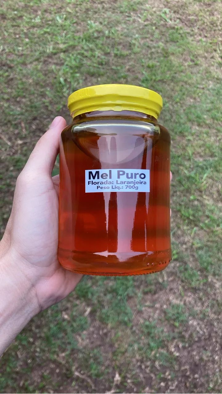 MEL PURO 100% NATURAL 700g - Foto 5