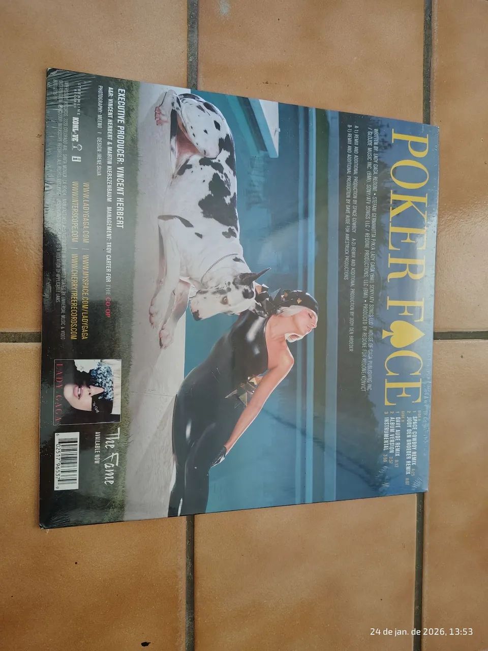 Vinil Lady gaga  - POKERFACE Remixes  - Foto 2