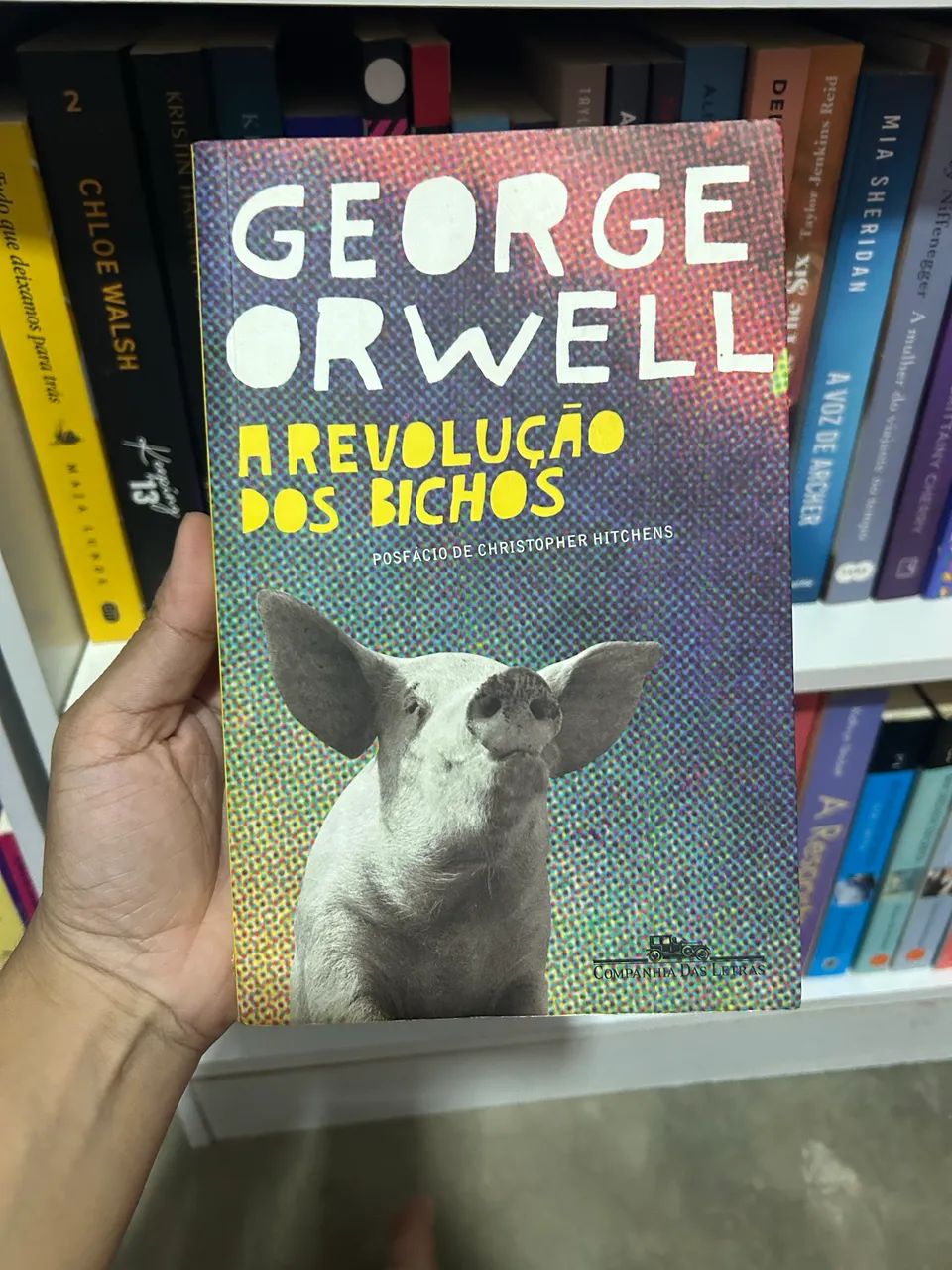 A revolução dos bichos - George Orwell