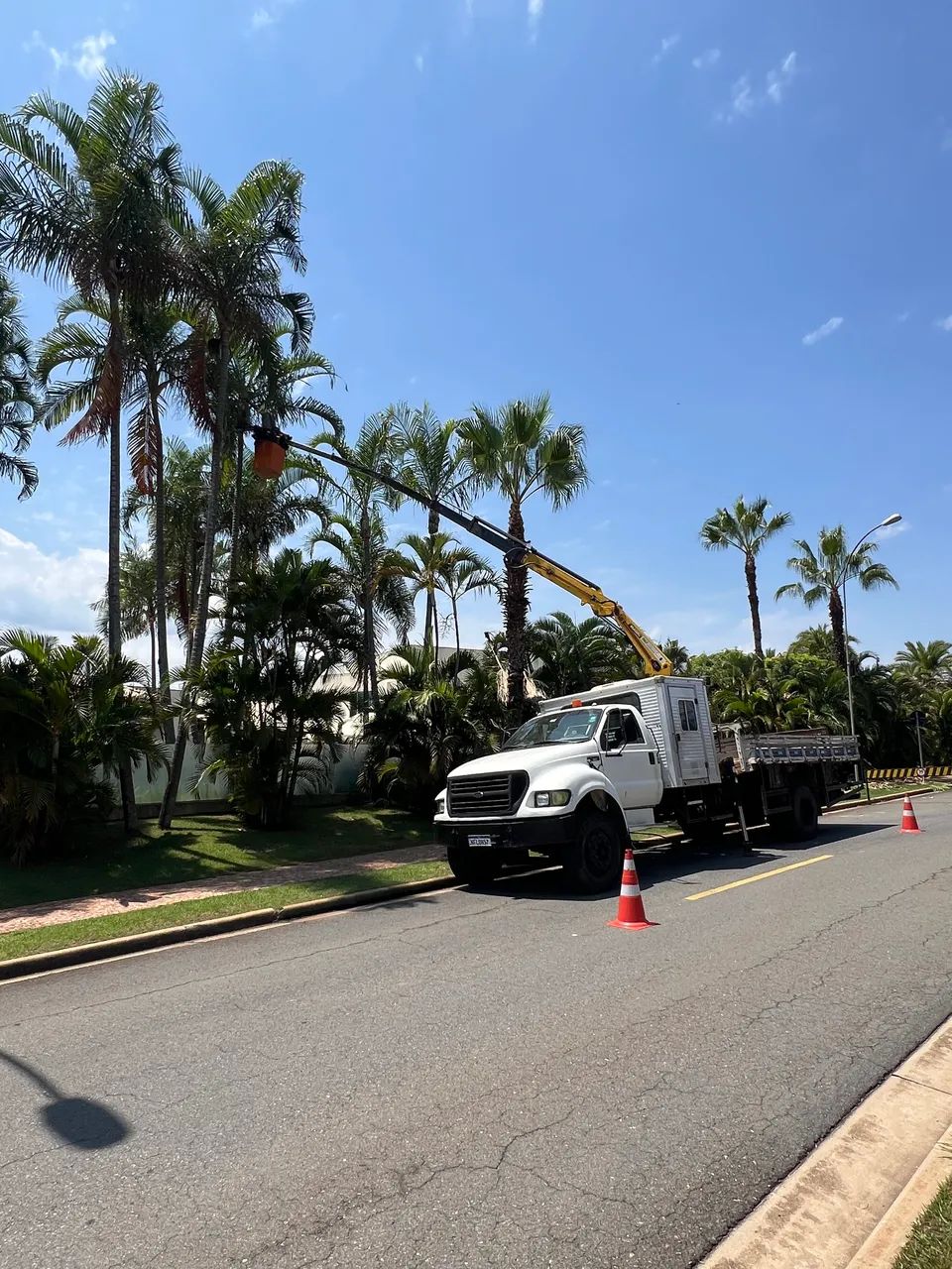 Transporte Carga e Movimentação de Carga.