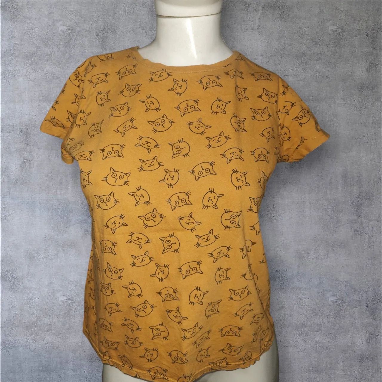Camiseta gatinhos