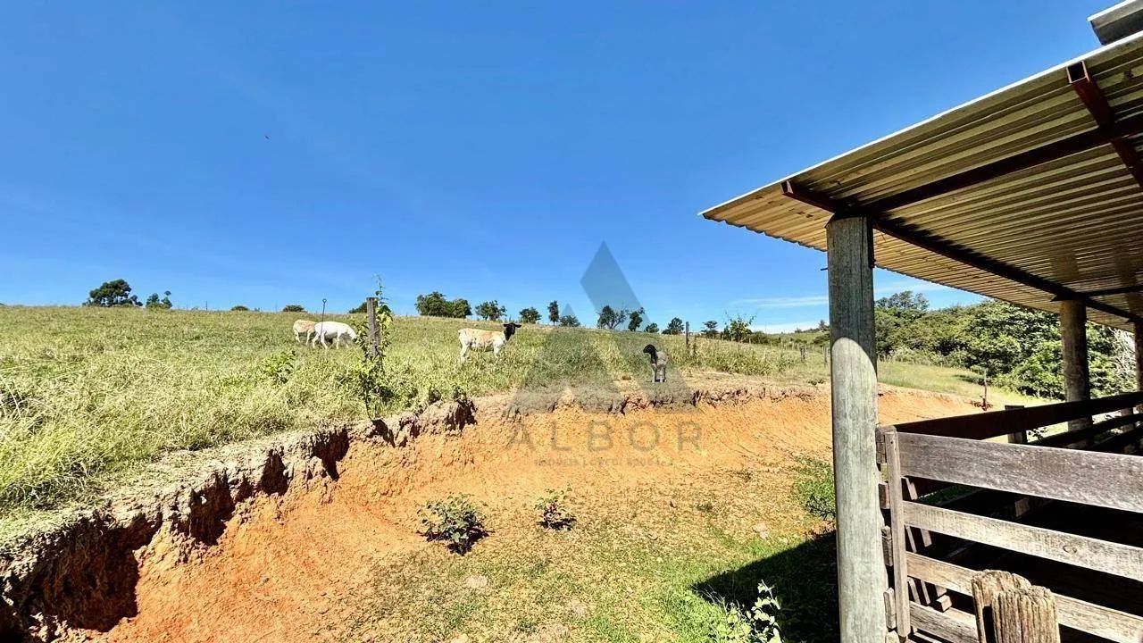 Sítio com 3 quartos à venda, 66492 m² por R$ 1.390.000 - Jardim São Carlos - Salto de Pira - Foto 5