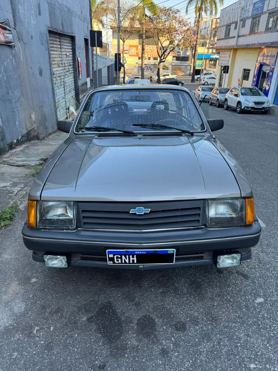 Chevrolet Chevette L / SL / Sl/e / DL / SE 1.6 1993