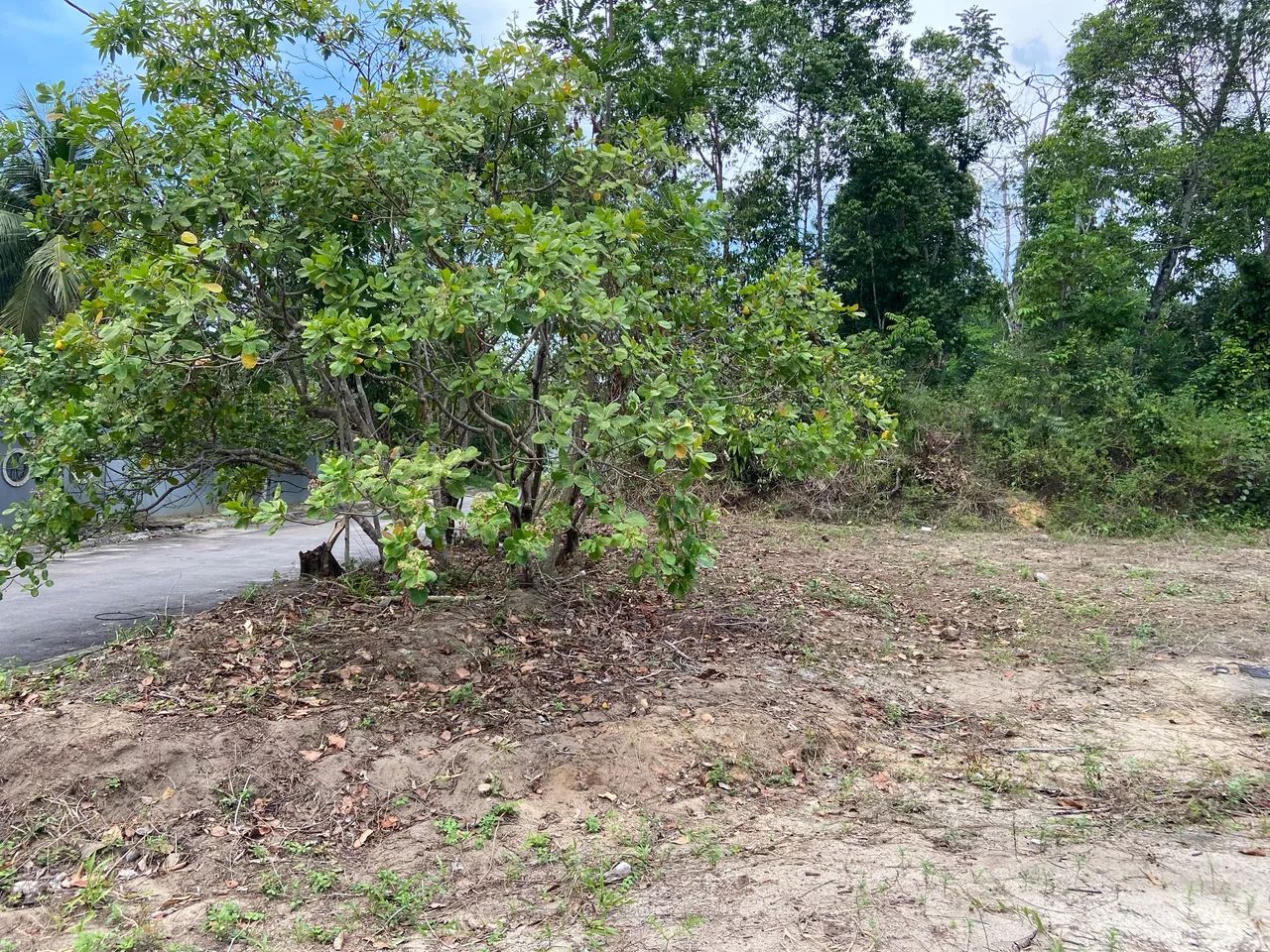 Terreno na Marina Taua 