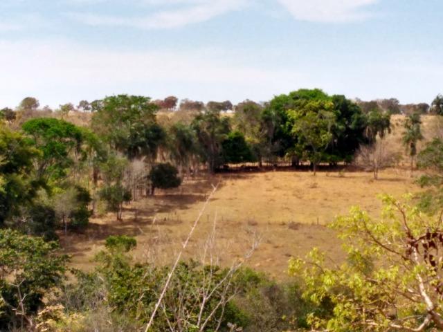 Chácara Aragoiânia, 14,65 alqueires, (71,71 hectares), - Foto 13