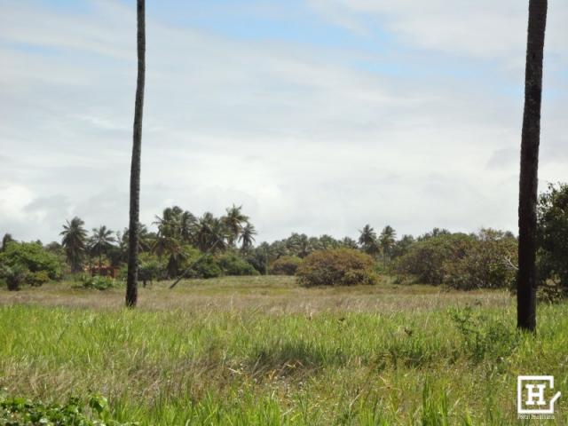Terreno à venda - mosqueiro - Foto 9