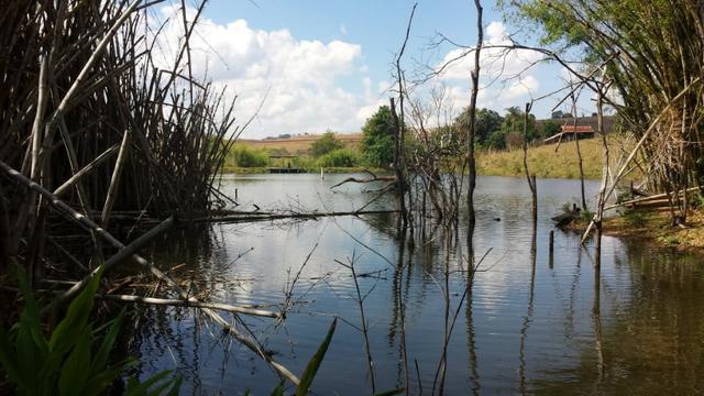 Excelente sítio de 8,64 hectare em Ponto Chic (Patos de Minas/MG) - Foto 5