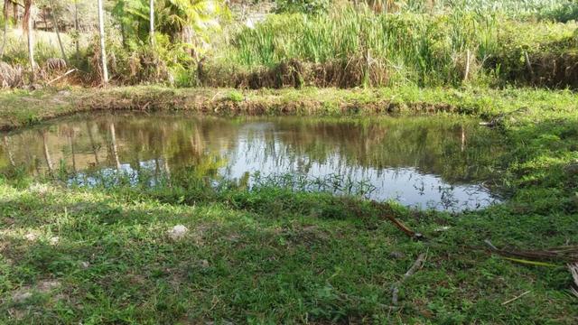 Mini fazenda em Guarapari - Foto 7