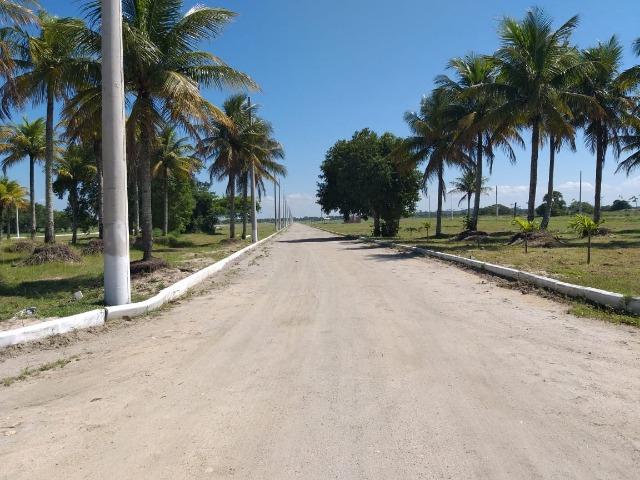 Lindos lotes em Unamar - Foto 3