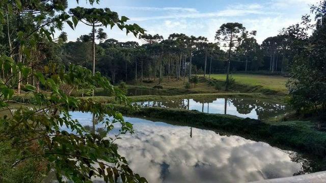 Troca por apartamento em Curitiba - Foto 9