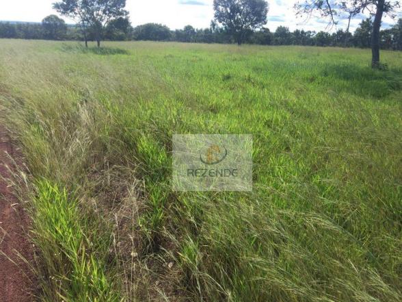 Fazenda com - 88 alqueires - R$ 3.000.000 - Miracema do TO. - Foto 13