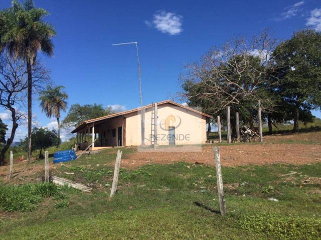 Fazenda com - 88 alqueires - R$ 3.000.000 - Miracema do TO. - Foto 2