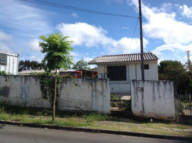 Terreno à venda, 377 m² por r$ 253.995 - boneca do iguaçu - são josé dos pinhais/pr
