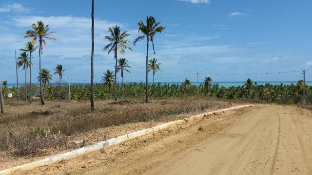 Terreno em Paripueira - Condomínio Colinas do sonho verde - Foto 9