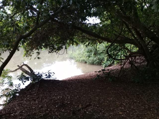 Porto Pesqueiro Em Nobres Ponto turistico - Foto 16
