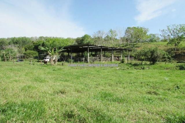 Fabio Paes Imóveis - Fazenda 28 alq - luxo - Oportunidade!!! - Foto 9
