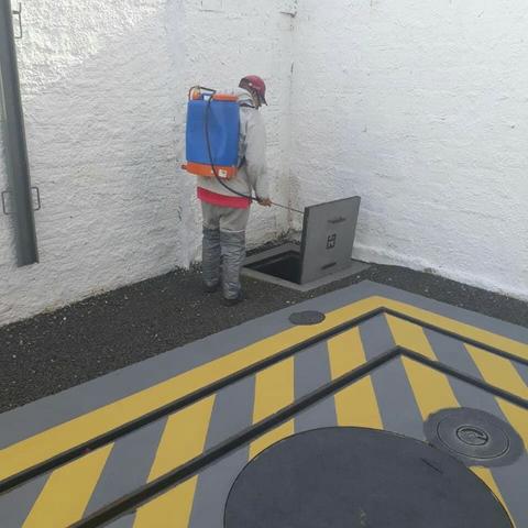 Dedetização urbana em Geral. - Foto 4