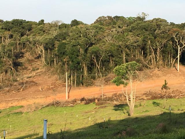 GE Conheça nosso lindo condomínio em Mairiporã 1000m2 - Foto 6