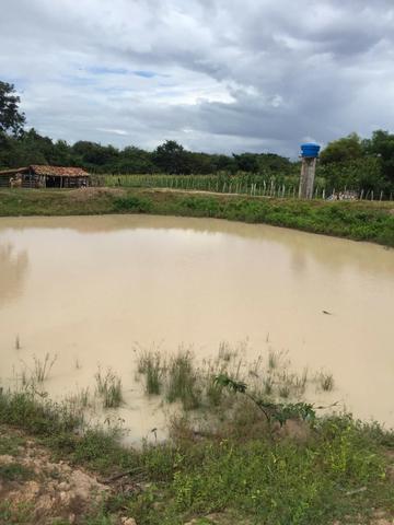 Sítio de 60Hectares a 13Km da Cidade do Buriti dos Lopes. (140mil)