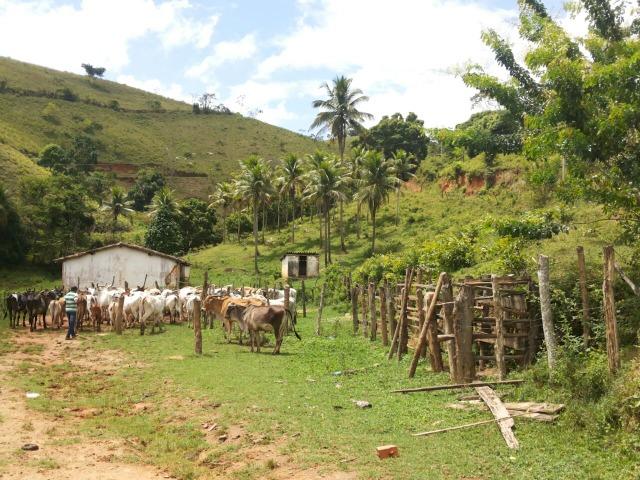 Propriedade rural com 140 HEC - Foto 6