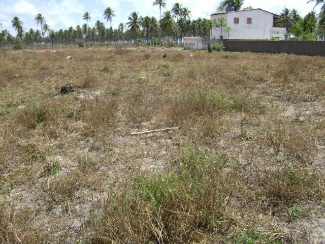 Terreno em Aver-o-mar (Barra de Sirinhaém) - Foto 8
