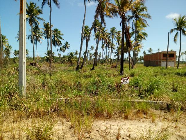 Terreno em São José da Coroa grande - Foto 3