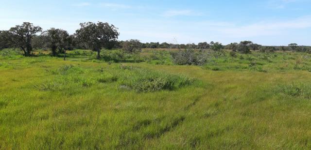 Fazenda - Foto 14