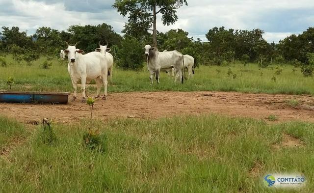 Fazenda, região da serra azul, 1523 hectares - Foto 2