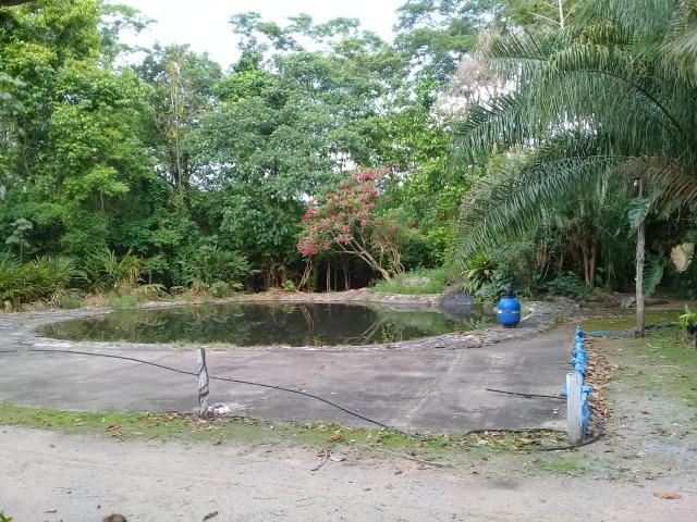 Porto Pesqueiro Em Nobres Ponto turistico - Foto 17