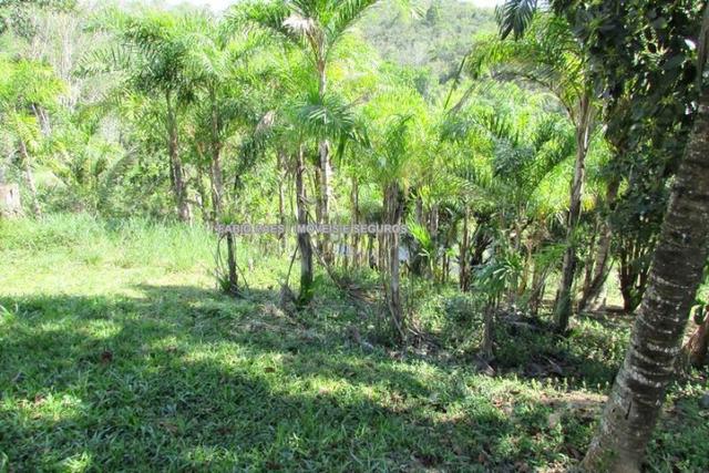 Fabio Paes Imóveis - Fazenda 28 alq - luxo - Oportunidade!!! - Foto 18