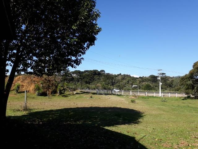 Chácara em Contenda -São José dos `Pinhais - Foto 2