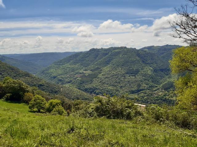 Excelente Chácara próximo a Flores da Cunha - Foto 4