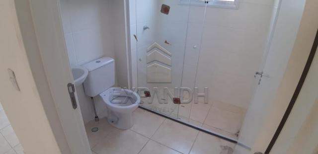 Apartamento para alugar com 2 dormitórios em Jardim veneto ii, Sertaozinho cod:L1376 - Foto 16