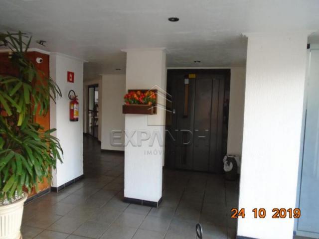 Apartamento para alugar com 2 dormitórios em Jardim sao jose, Sertaozinho cod:L1256 - Foto 3