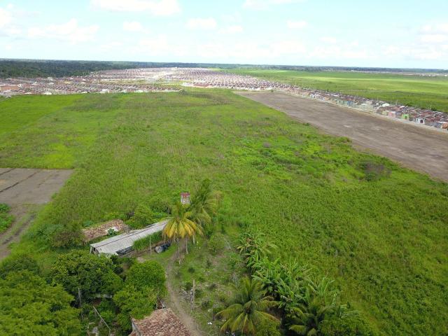 Área em Rio Largo - Foto 14
