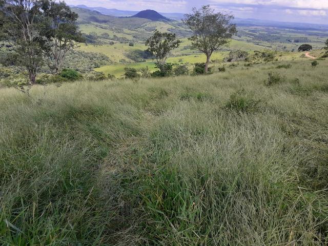 Arrenda -Fazenda Agricultura e Pecuária- - Foto 15