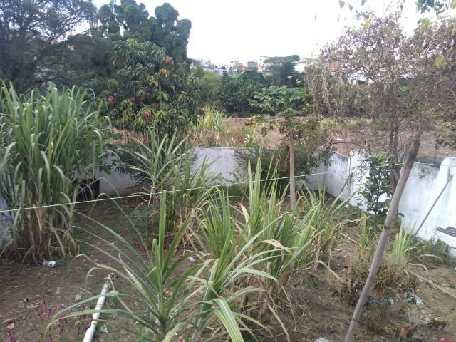 Casa Centro de Ferraz - Foto 4