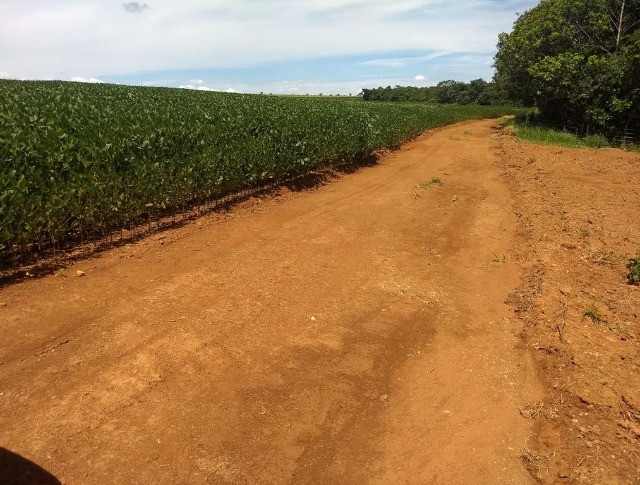 Fazenda com 500ha para soja, Potencial pra Irrigação!! - Foto 9