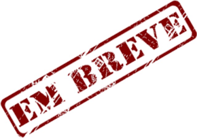 FIAT / STRADA FIRE FLEX 1.4 CABINE ESTENDIDA 2011