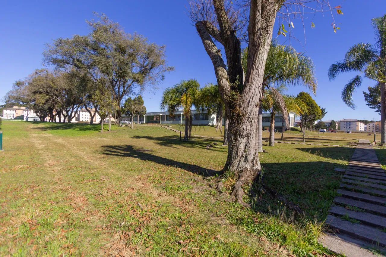 Terreno em São José dos Pinhais ARYA1 - Foto 3