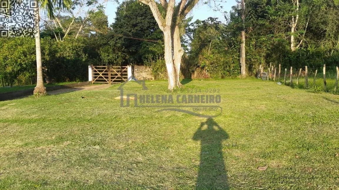 Paudalho  Sítio  Sítio em Paudalho, porteira fechada, 5 hectares - Foto 6
