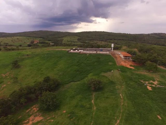 Fazenda 220 hectares  - Foto 2