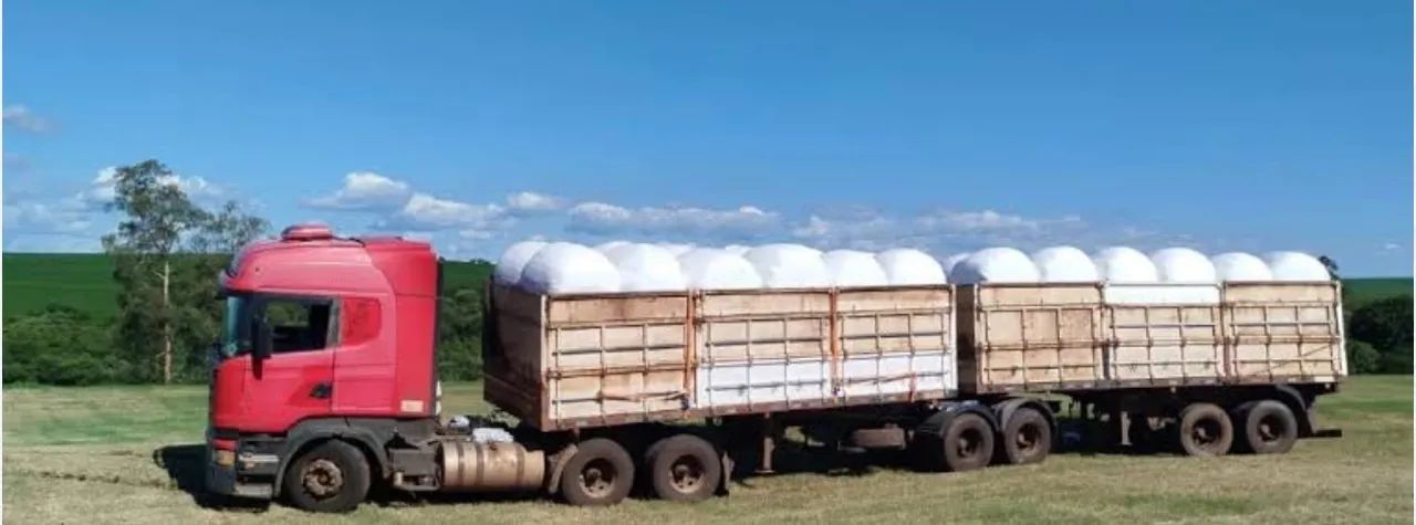 Vendo feno tipo Apré secado entrego sem custo de frete - Foto 5