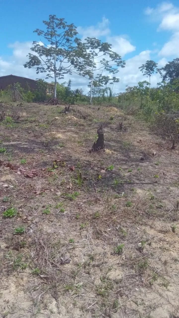 Foto - Vera Cruz - 