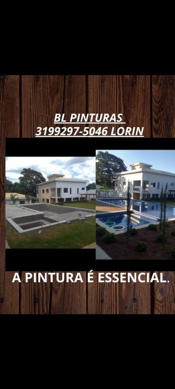 Pintor profissional. - Foto 2