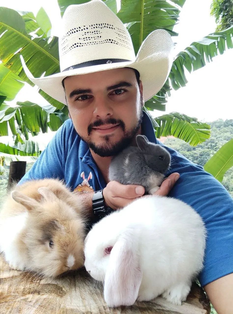 COELHO MINI E COELHO ANÃO (MENORES DO MUNDO) - Foto 3