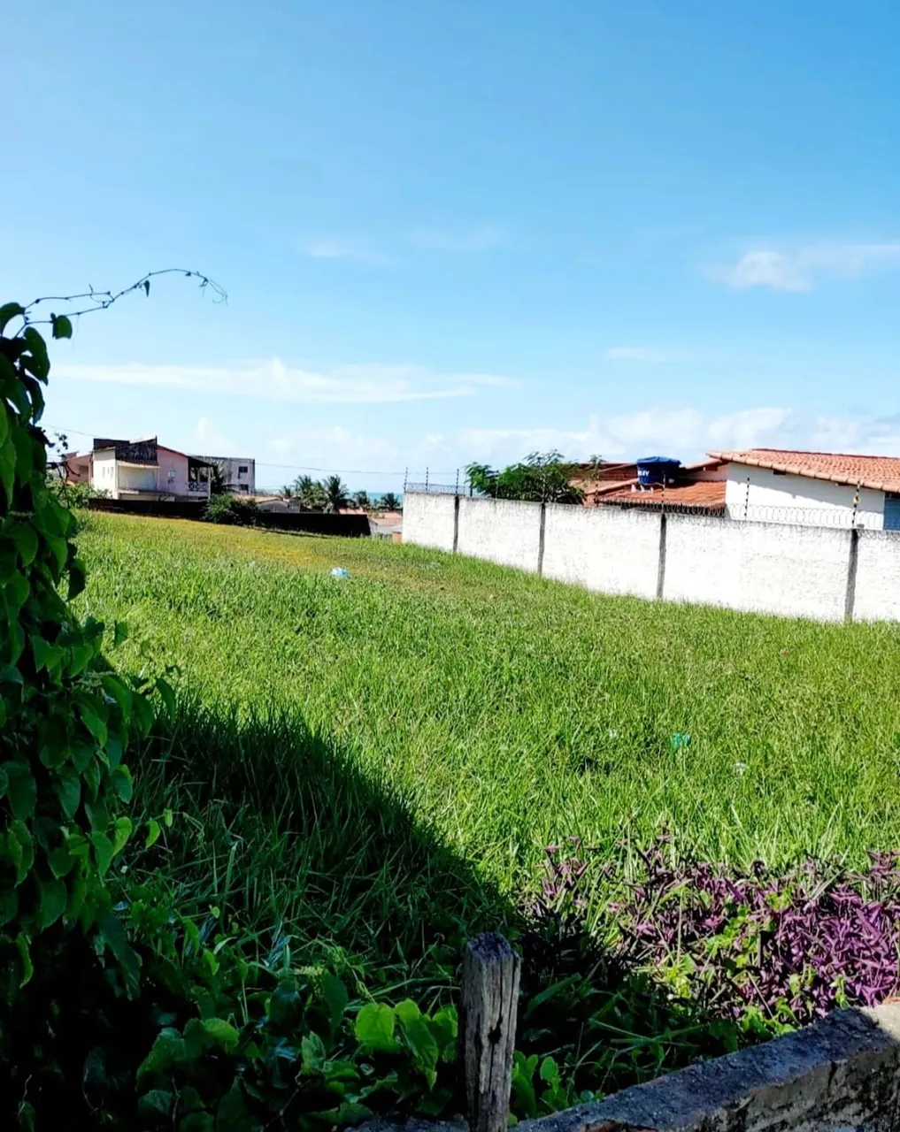 Terreno em Búzios com 450 m2, murado e com escritura pública - R$55.900,00 - whatsapp:84 9